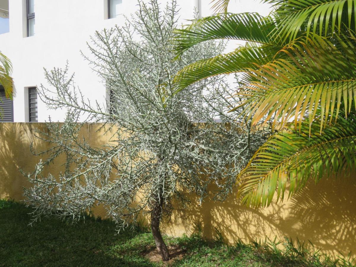 Villa Canelle Trou aux Biches Exterior photo